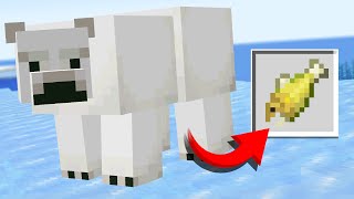 Improving 15 USELESS Minecraft Updates