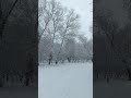 The beauty of winter. Красота зимы