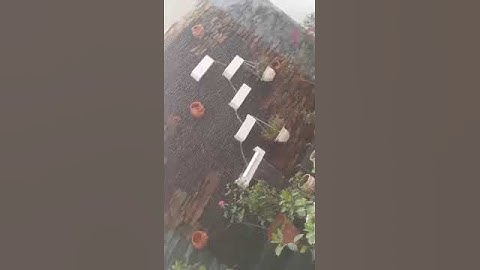 Đá ốp tường tiểu cảnh đẹp