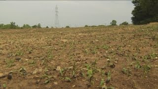 Farmer Upset At Oak Creek City Hall After Fireworks Started Grass Fire, Damaged His Land Farmer Upset At Oak Creek City Hall After Fireworks Started Grass Fire, Damaged His Land