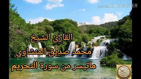 يا ايها الذين آمنوا قوا أنفسكم وأهليكم نارا // تلاوة رائعة للشيخ محمد صديق المنشاوي//سورة التحريم