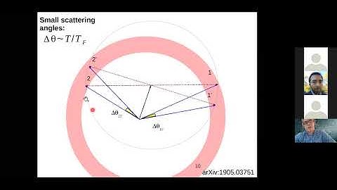 Leonid Levitov - Long-Lived Excitations, Directional Memory and Electron Fluids in Two Dimensions