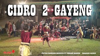 CIDRO 2 AAAA SOGOK SOGOK BARENG PUTRO BARONG BUDOYO