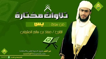 سورة يس - القارئ معاذ بن سالم المشرفي