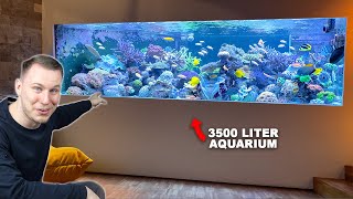 AQUARIUM LIVING ROOM 3500 liters saltwater aquarium by Lars *english subtitles*