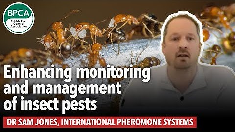 Enhancing monitoring and management of insect pests