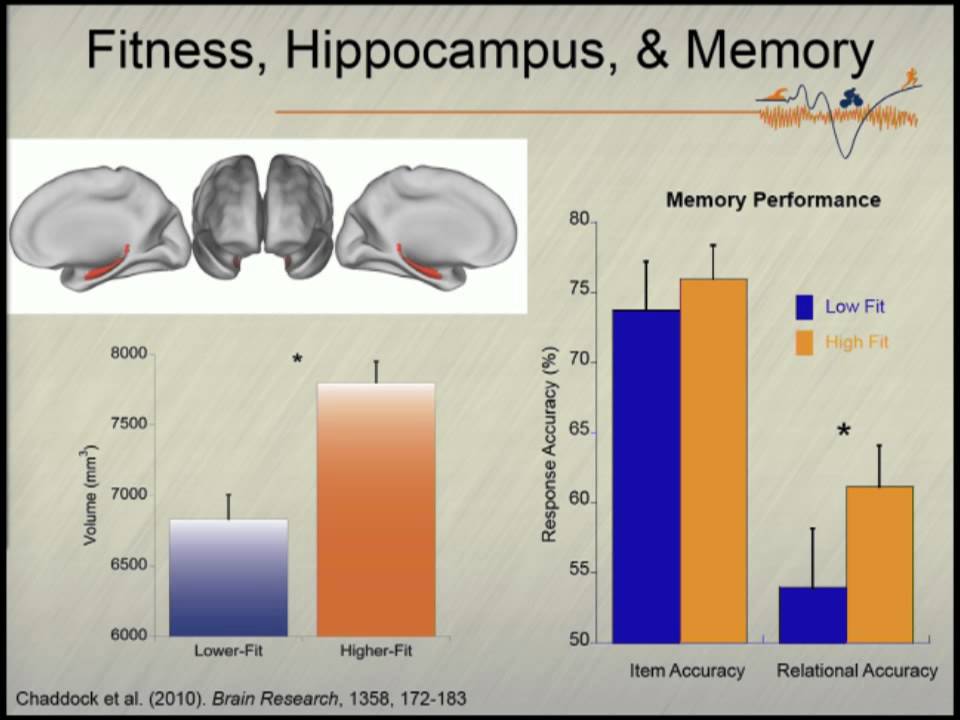 2013 Conference: Panel 1 - Overview of Physical Activity and Healthy Eating - Panelist 2