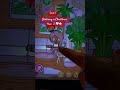 Ordering a Christmas tree 🎄⭐️part 1🤍🍂🍪🫧🪵🧋⭐️🤍