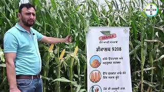 Virtual Field Day on Dekalb 9208