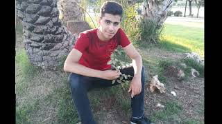 Mehmet Şenses Yine Akşam Oldu