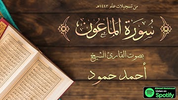 سورة الماعون | الشيخ القارئ أحمد حمود | لبنان