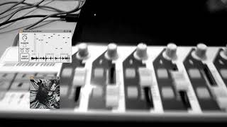 An improvisation with Rhythmic Crazy Slicer and Theremouse | Max for Live Devices (Ableton)