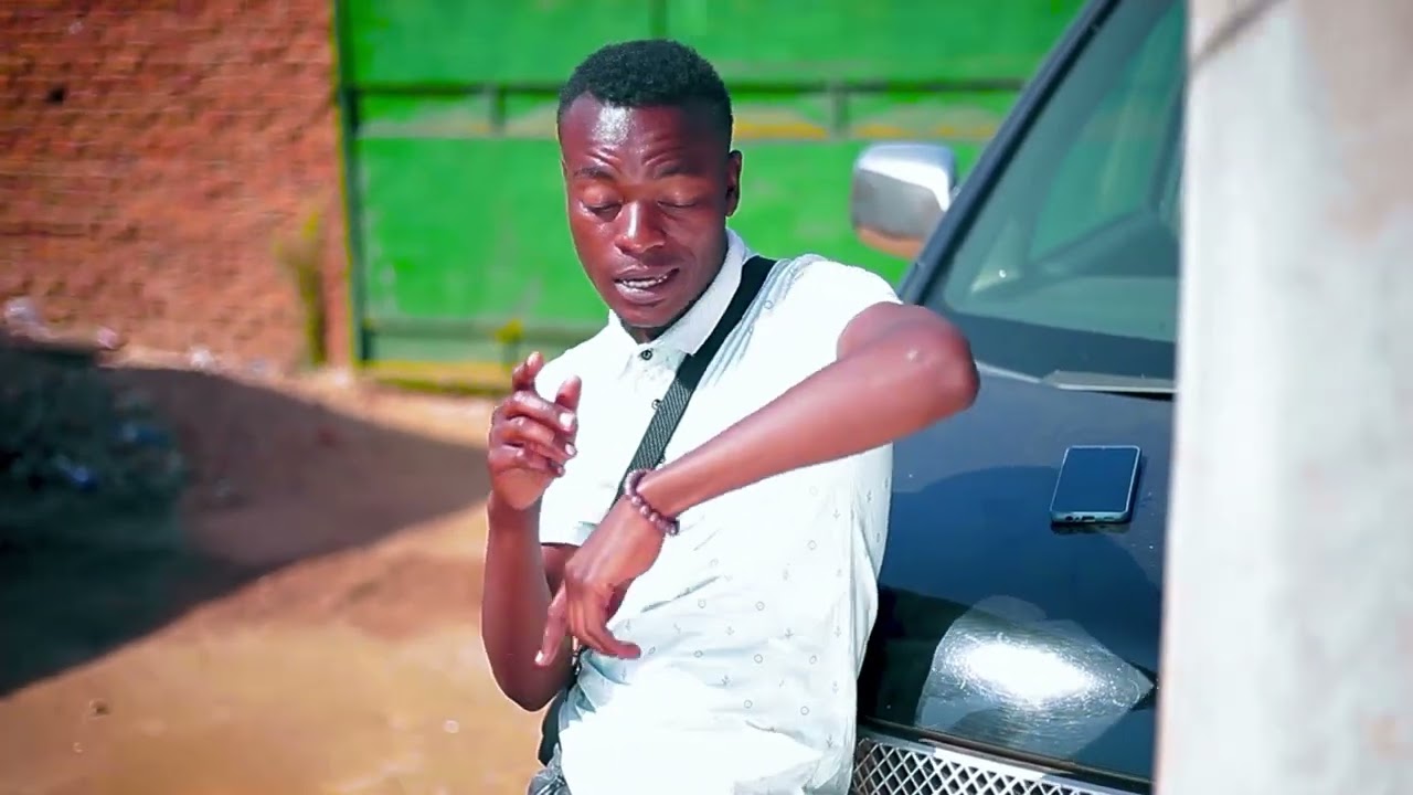 Visualising with Lynch Pictures 