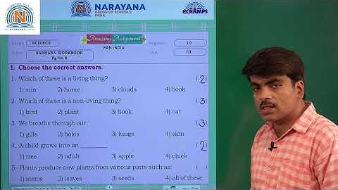 7TH SEP NORTH & TAMIL NADU CLASS III SCIENCE AMAZING ASSIGNMENT 10  KEY