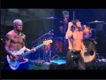 Red hot chili peppers  ramones tribute 2004