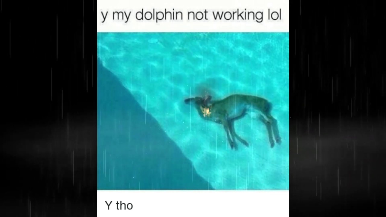 Y my dolphin not working y tho with a fiery twist youtube