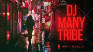 Kelis milkshake - Dj Many Tribe & Gabriel Hernández