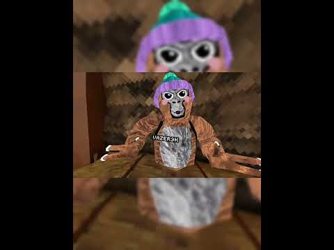 Im gonna be gone for a bit #gorillatag #gtag #vr