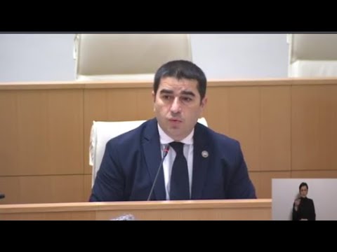 ზიზღის ენით მოსაუბრე ხალხი ეფარება გამოხატვის თავისუფლებას, თითქოს ეს მათი უფლებაა - პაპუაშვილი