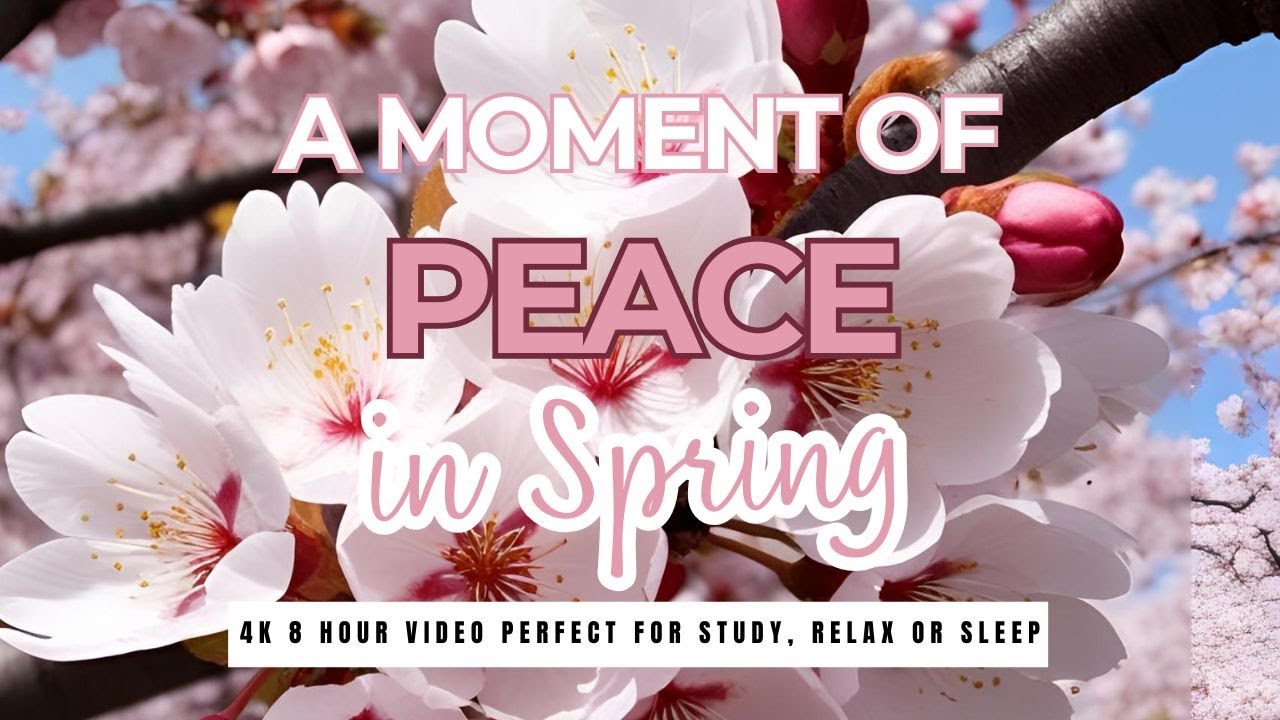 Spring Morning Peace A Moment of Peace in Spring - Relaxing Nature 4K Video - YouTube