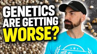 Is Pollen Chucking Really Ruining Genetics?