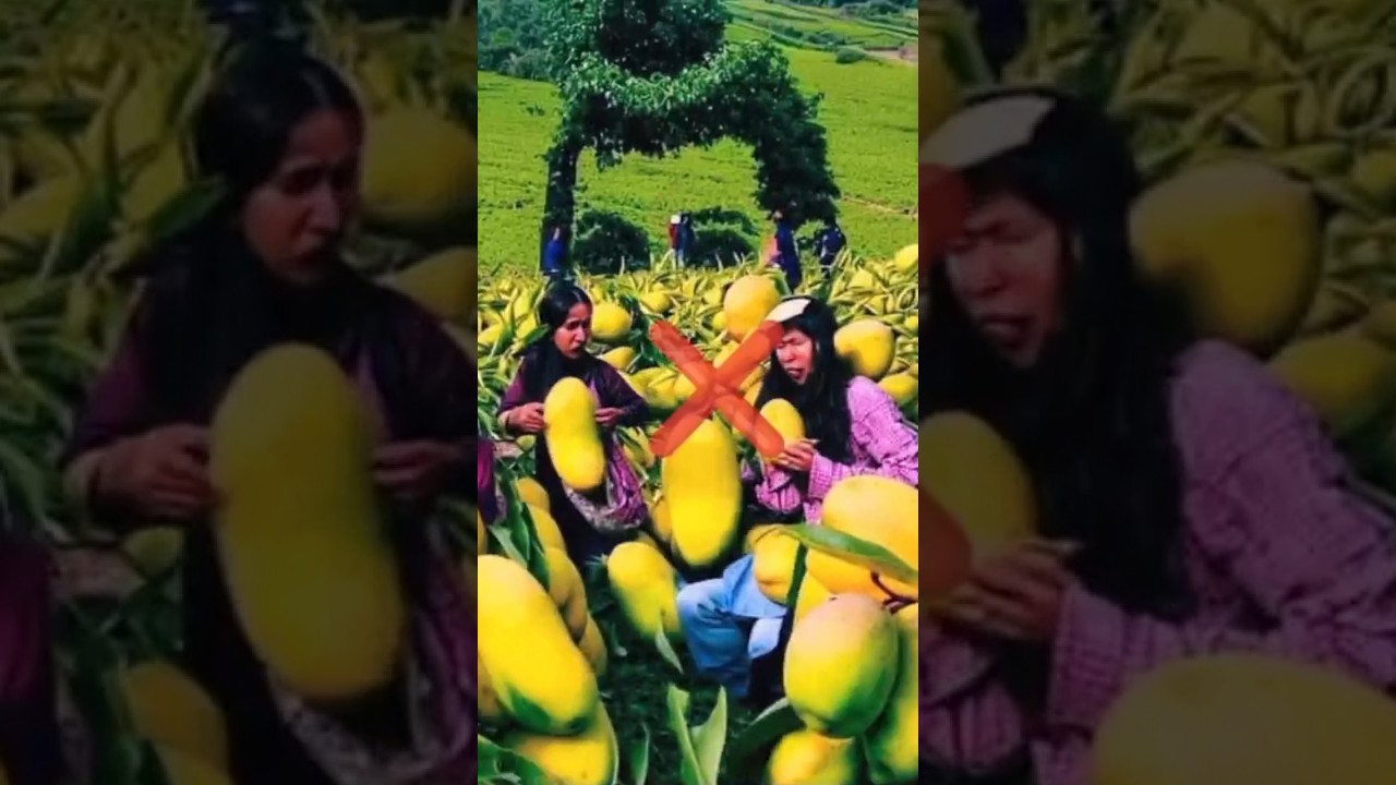 Best photo editor muslim  