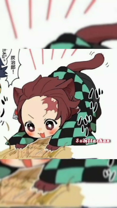 giyuu x tanjiro as a cat 🥰 #demonslayer #anime #edit #trending #shorts