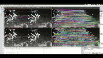 RANSAC - Line segments matching & Keypoints Matching  in a sequence of aerial thermal images