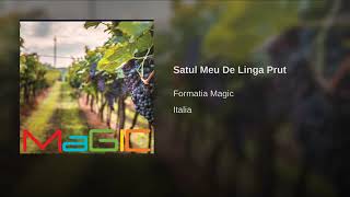 Satul meu cel drag de la lângă Prut - Formația Magic - Italia