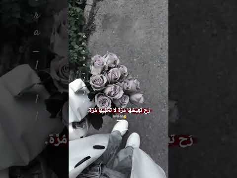 أميرة تصميمي مجرد ذوق  تصميم فيديوهات عبارات حالات واتس وهيكااا