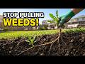 Stop Pulling Weeds — Do This Instead