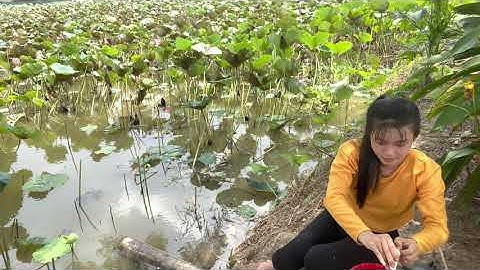 Bãi Câu Cá Cũ Huyền Thoại Chưa Quăng Hết Cần Lên Ăn Mồi Liên Tục l 121#CoGaiQue