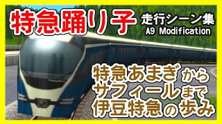 【伊豆特急の歩み『あまぎ』から『サフィール踊り子』まで】◆A列車で行こう9で作る日本の鉄道◆Limited express ODORIKO run between Tokyo and Shimoda.