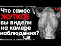 ЧТО САМОЕ ЖУТКОЕ ВЫ ВИДЕЛИ НА КАМЕРЕ НАБЛЮДЕНИЯ?