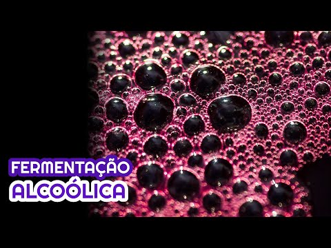 Vídeo: O que é polpa? Definição, significado no processo de vinificação caseira