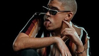 Te Amo Mucho - Bad Bunny (Official Audio)2019