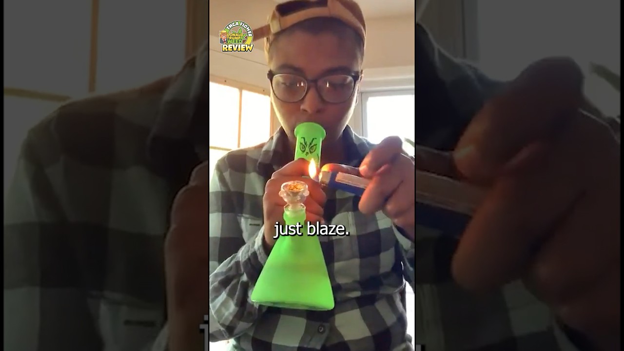 Forbidden Runtz Review - Donald Trump Weed THCa 