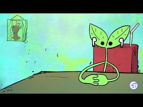 جديد ميمز طحالب حلقة الشبشب المقلوب