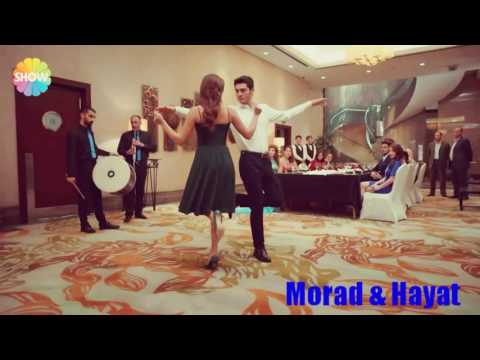 شوفو حبيبي ياناس شوفو شوفو