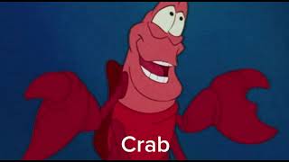 Ultimate Ocean Simulator All Playables