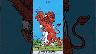 타로카드독학 8번 힘카드(Strength) 상징 키워드 간단해석 Tarot card