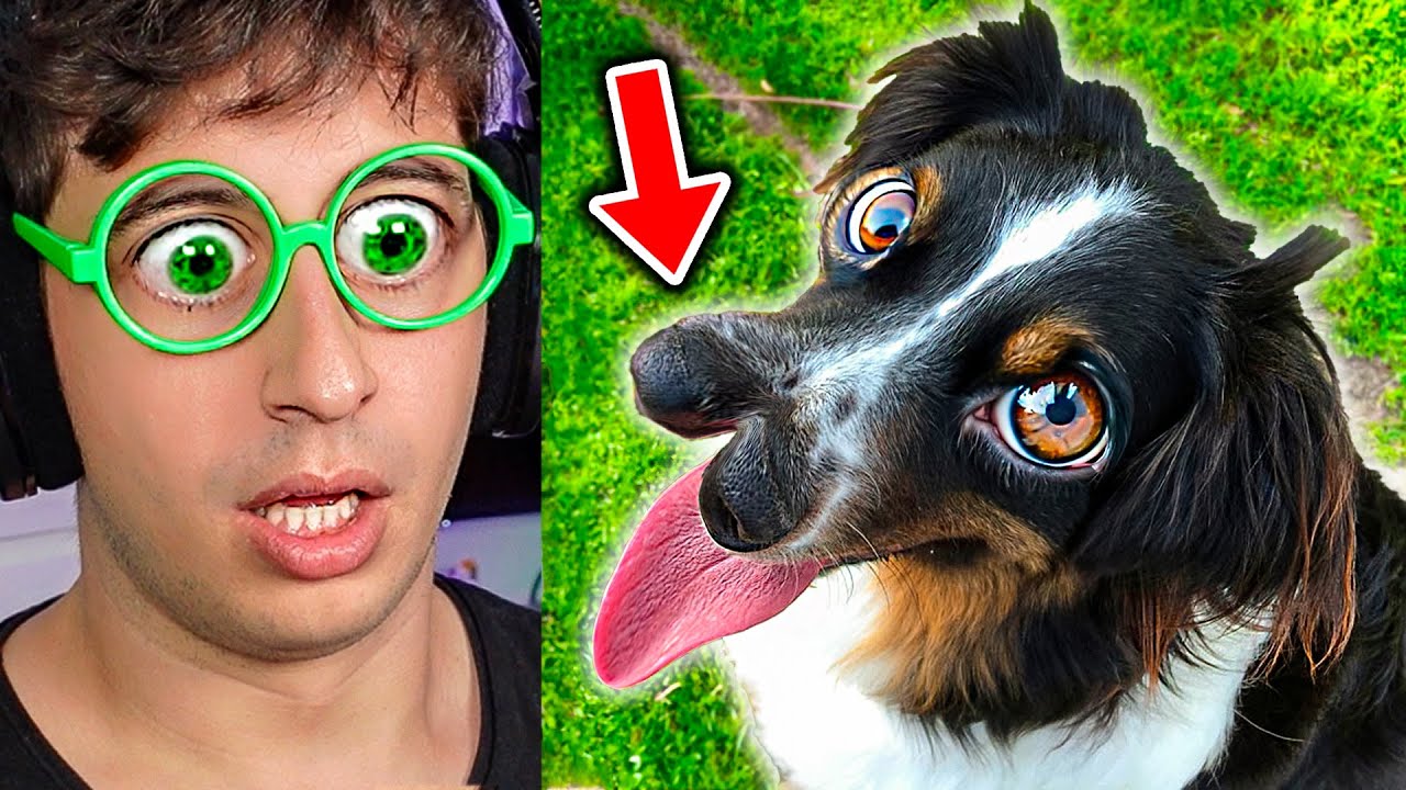 Este Perro NO es Normal...🐶😲!! (Cosas que NO sabías hace 5 minutos)