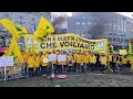 Coldiretti torino in piazza a bruxelles contro le politiche europee che uccidono lagricoltura