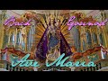 Bach  gounod ave maria  organ solo