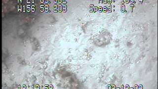 Celebrity A103HW_Tape5_12Feb03_Drop122.mpg Wealth