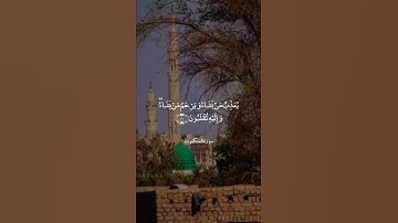 يُعَذِّبُ مَنْ يَشَاءُ وَيَرْحَمُ مَنْ يَشَاءُ ۖ|| سورة العنكبوت || علي جابر