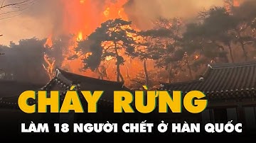 Cháy rừng nhiều ngày ở Hàn Quốc làm 18 người chết, 1 phi công trực thăng chữa cháy tử nạn
