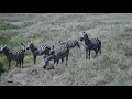 Chase Twi Mbizi Za Liswani Official Audio Chase Twi Mbizi Za Liswani Official Audio