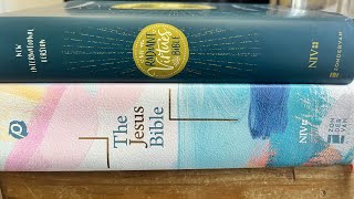 Bible Review! Jesus Bible vs Radiant Virtues