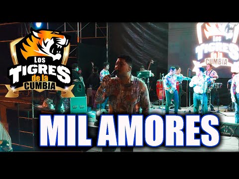 Los Tigres De La Cumbia - Mil Amores en Vivo Ancón